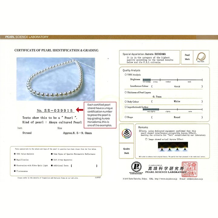 🎉Mother's Day Gift🔥Japan AAAA - Akoya Pearl Necklace